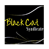 Black Cat Syndicate Ltd (bc8) Logo