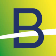 Brazilian Rare EARTHS Ltd (bre) Logo